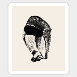 Giant anteater Sticker